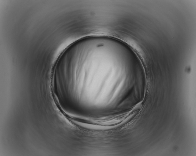 X0000090611480200707311212