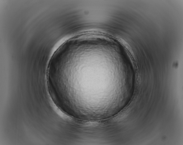 X0000090611482200707311212