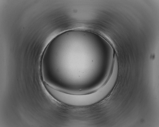 X0000090611483200707311212