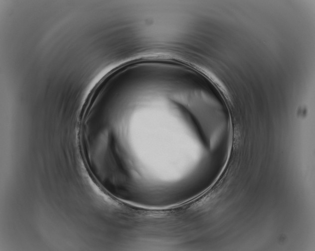 X0000090611484200707311212