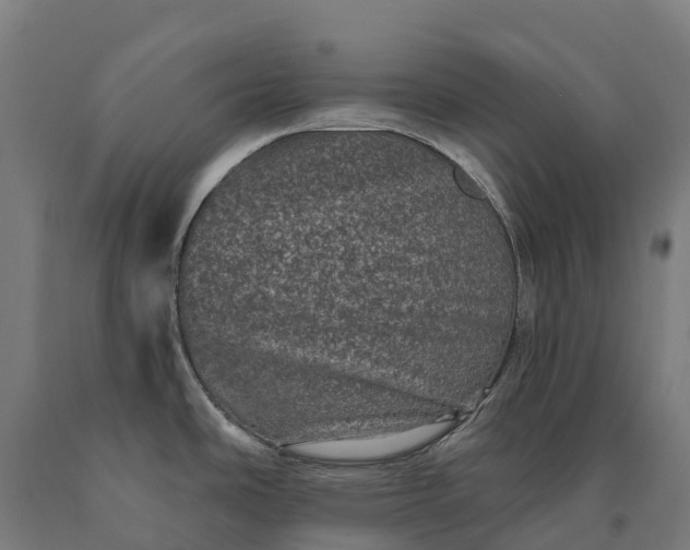 X0000090611486200707311212