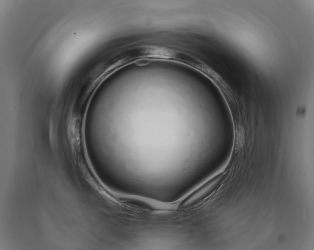 X0000090611487200707311212