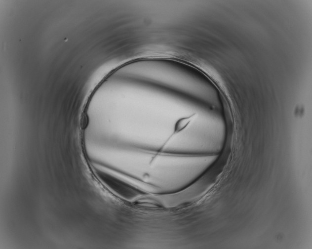 X0000090611488200707311212