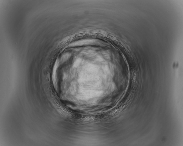 X0000090611489200707311211