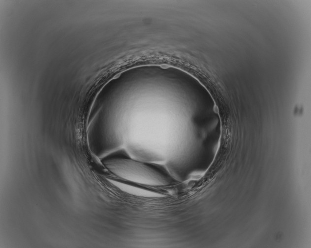 X0000090611490200707311211