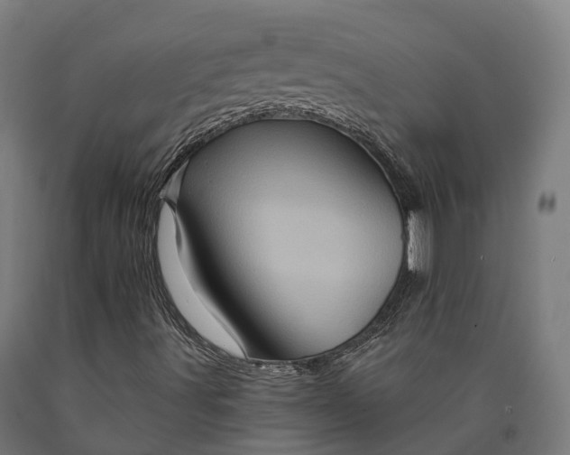 X0000090611491200707311211