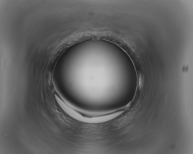 X0000090611492200707311211