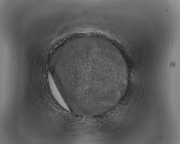 X0000090611493200707311211