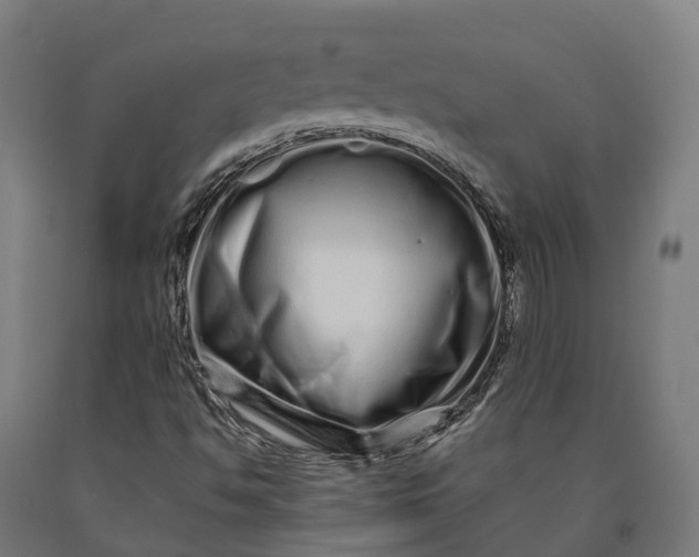 X0000090611494200707311211