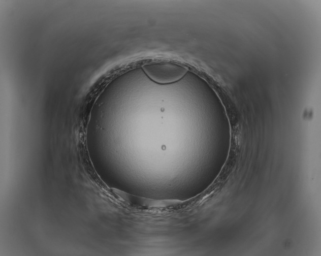 X0000090611495200707311211