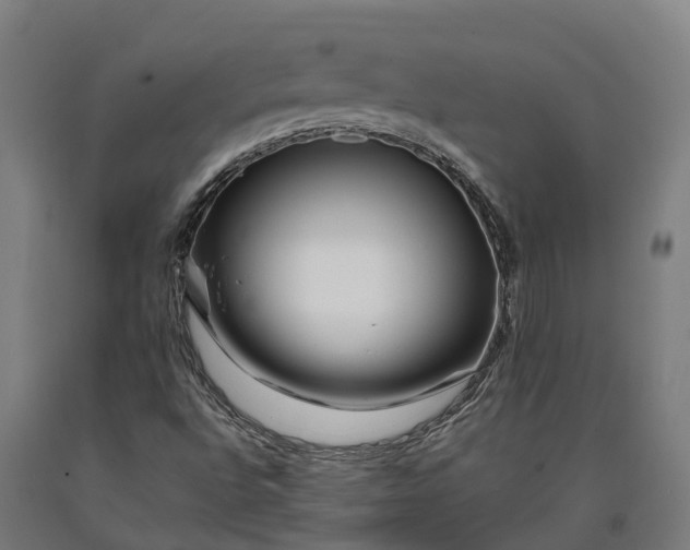 X0000090611496200707311211