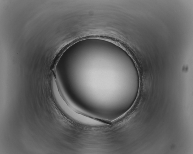 X0000090611497200707311211