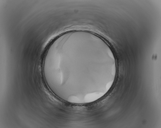 X0000090611498200707311211