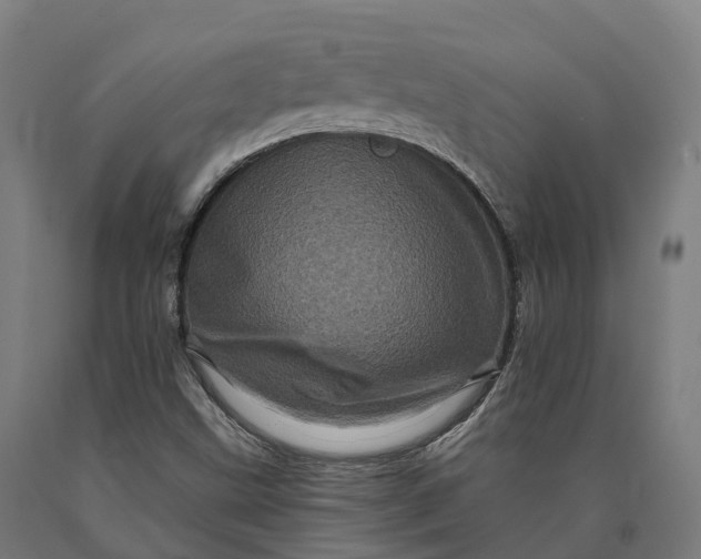 X0000090611499200707311211