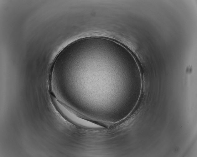 X0000090611500200707311211