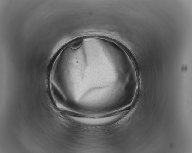 X0000090611501200707311211