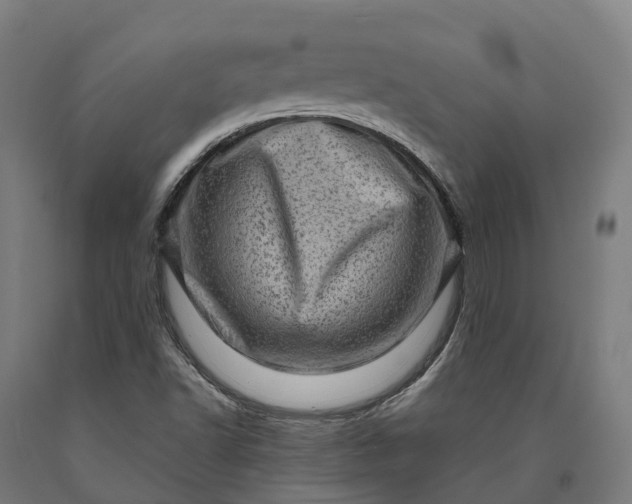 X0000090611502200707311211