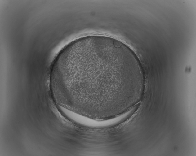 X0000090611503200707311211