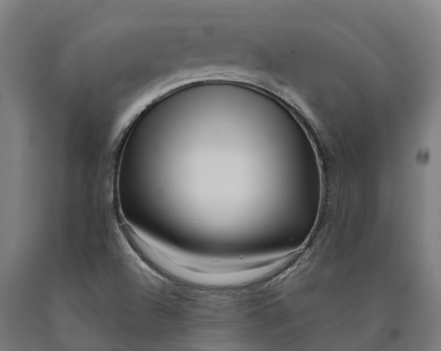 X0000090611504200707311211