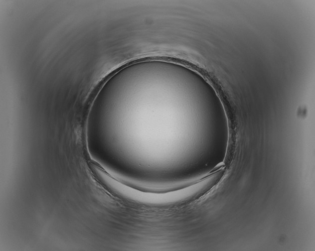 X0000090611505200707311211