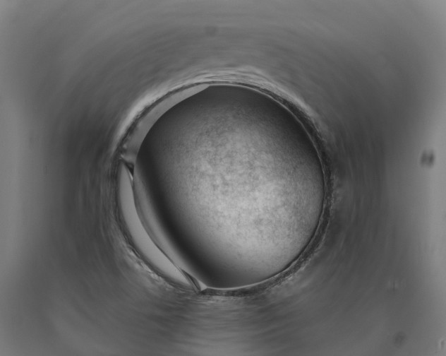 X0000090611506200707311211