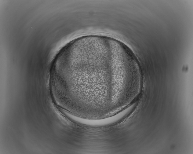 X0000090611507200707311211