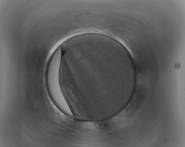 X0000090611508200707311211