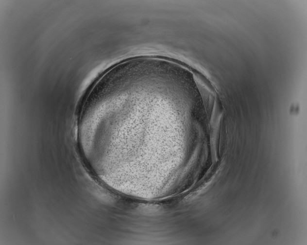 X0000090611509200707311211