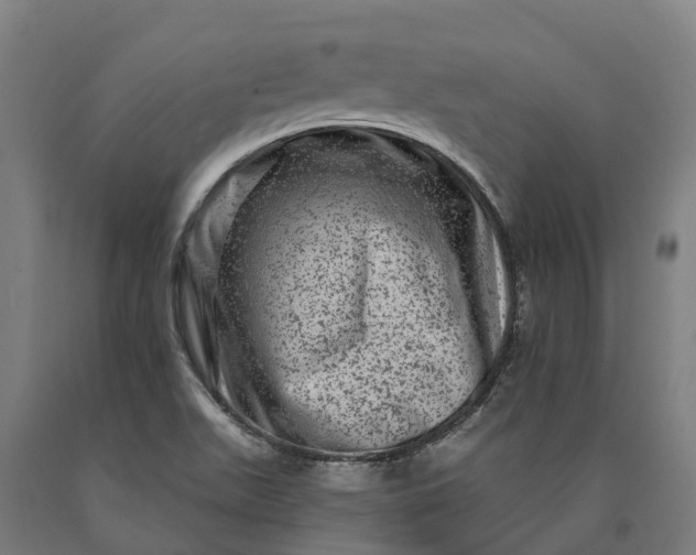 X0000090611511200707311211