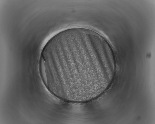 X0000090611512200707311211