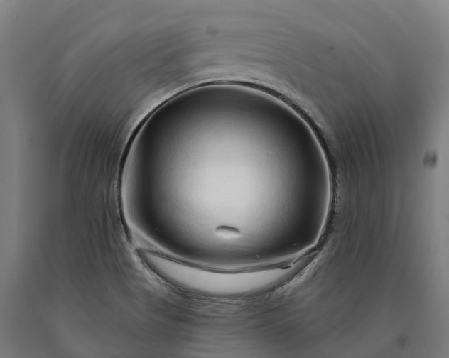 X0000090611513200707311211