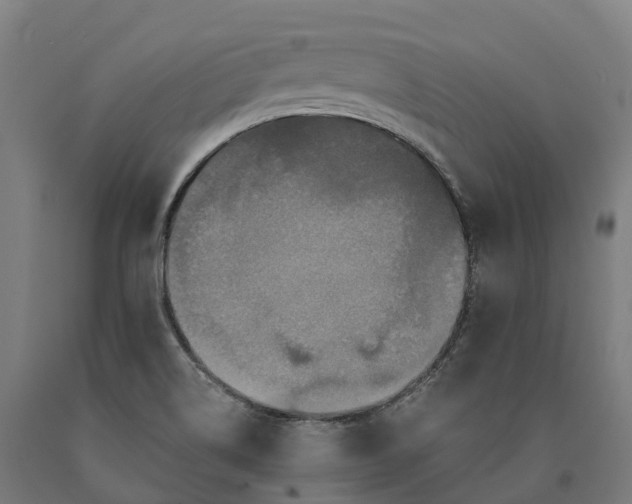 X0000090611514200707311211