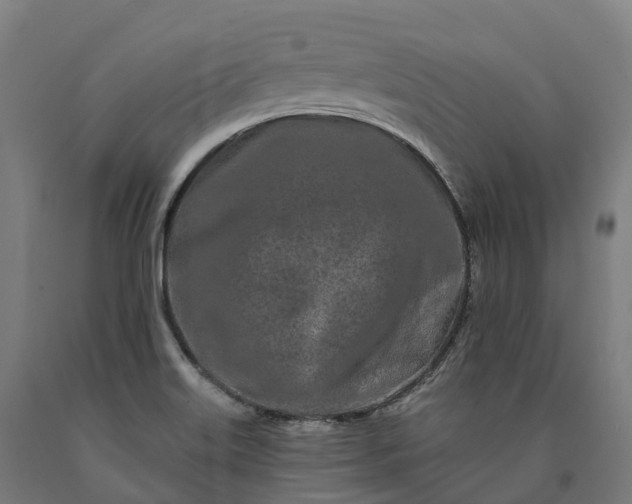 X0000090611515200707311211