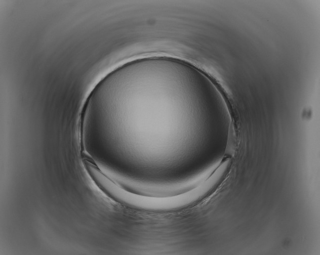 X0000090611516200707311211