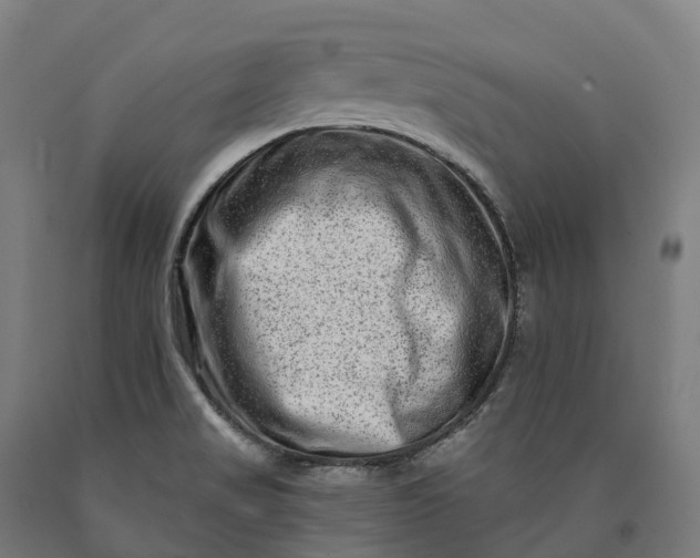 X0000090611517200707311211