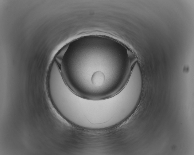 X0000090611518200707311211