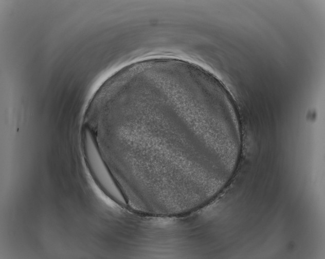 X0000090611519200707311211