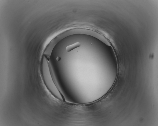 X0000090611520200707311211