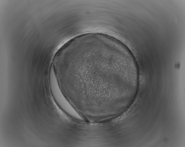 X0000090611521200707311211