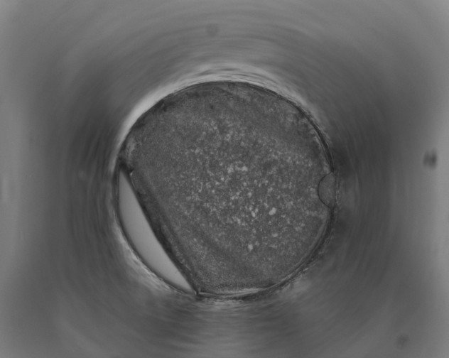 X0000090611522200707311211