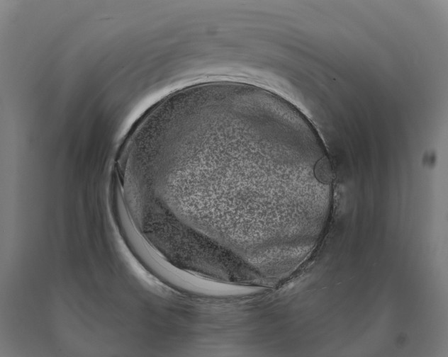 X0000090611523200707311211