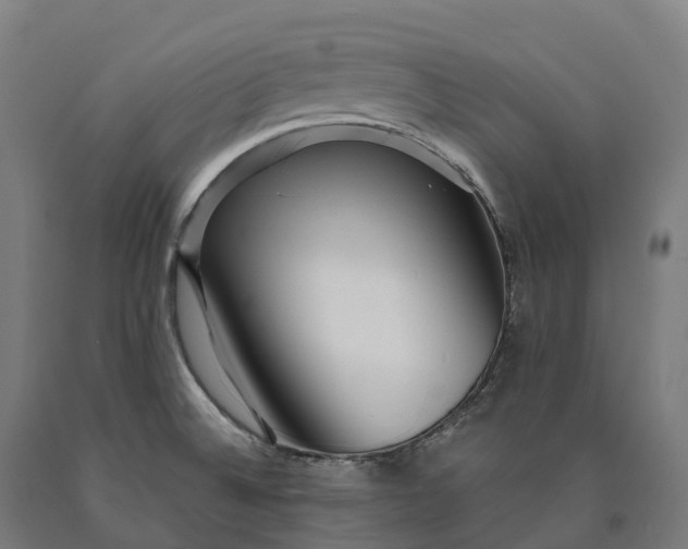 X0000090611524200707311211