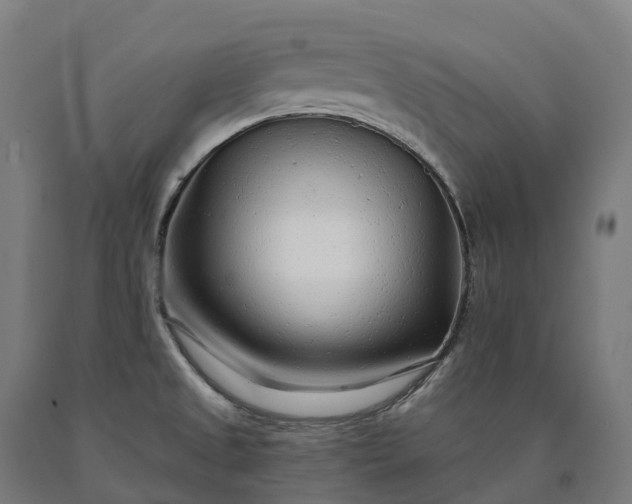 X0000090611525200707311211