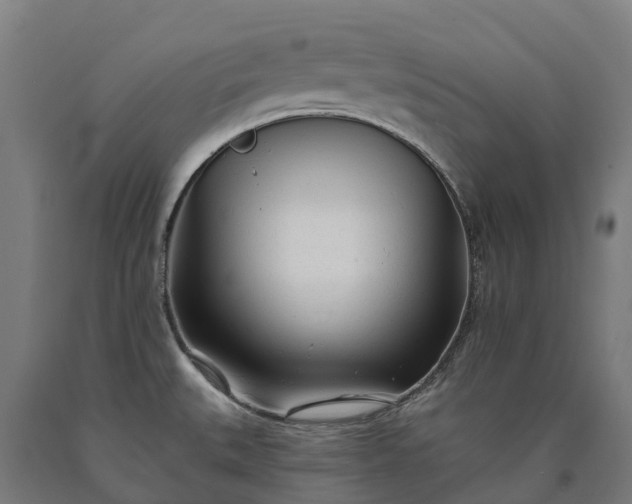 X0000090611527200707311211