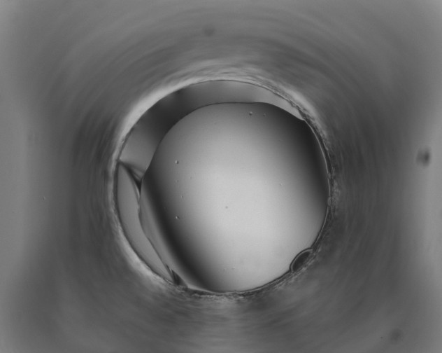 X0000090611528200707311211