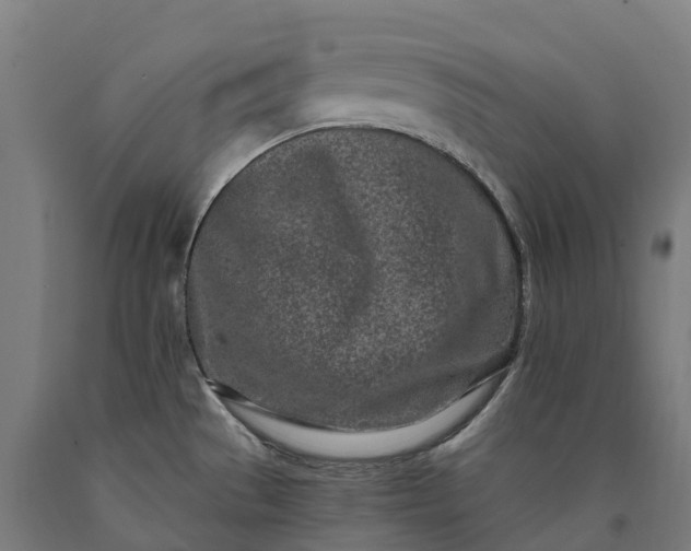 X0000090611529200707311212