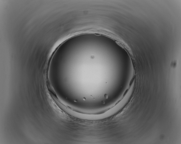 X0000090611530200707311212