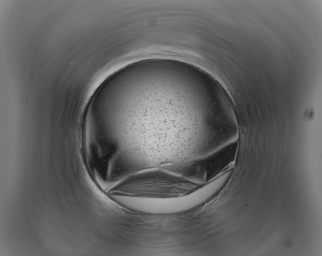 X0000090611531200707311212