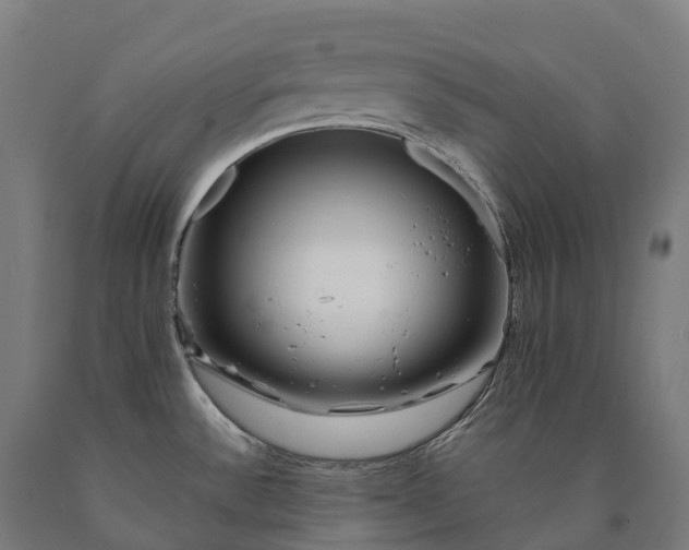 X0000090611532200707311212