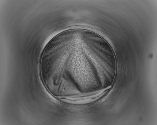 X0000090611533200707311212